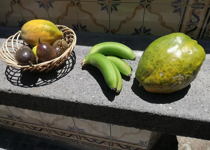 Prázdninový dům Casa Da Bungavillia