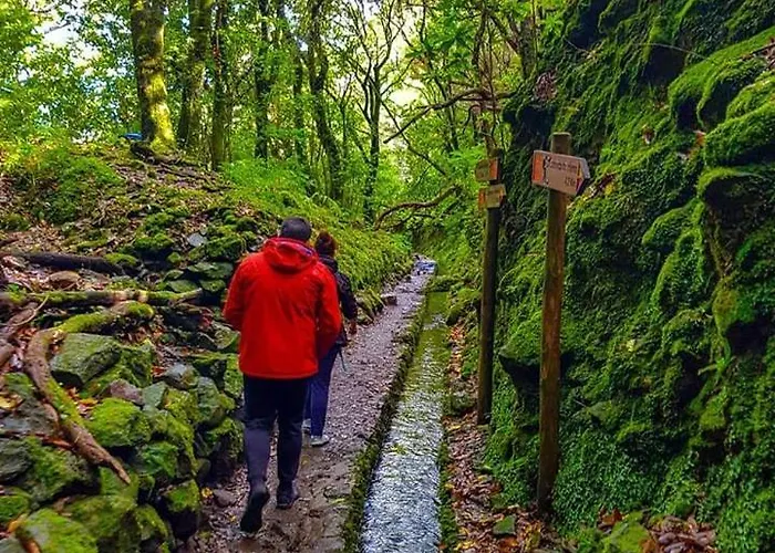 Casa vacanze Casa Da Bungavillia